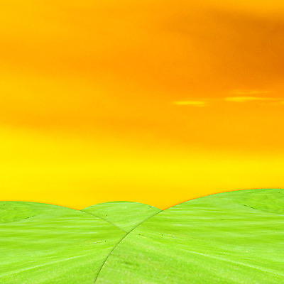 포토 JPG 해외이미지 식물 구름 계절 백그라운드 밭 농업 자연 하늘 날씨 풍경 잔디 사람없음 야외 초록색 여름 컬러풀 햇빛 농장 맑음 봄 새벽 활발 흰색 시골 신선 땅 장면 천국 내추럴 밭일 자취 파라다이스 평야 수평선 해외202004 해외포토 자연요소 산업 컬러 컨셉 태양 생태계 파일형식 이미지허브