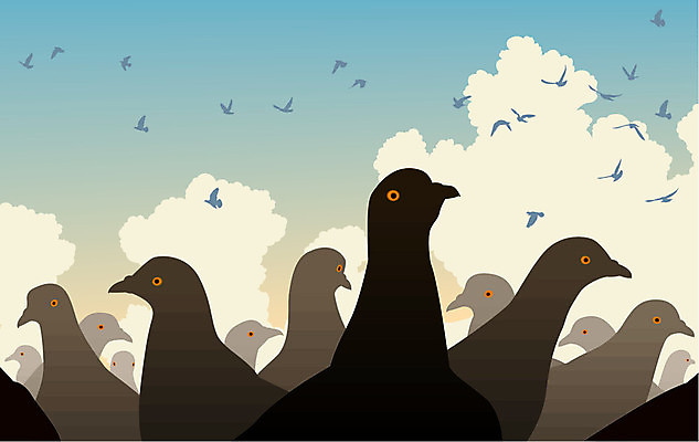 EPS 해외이미지 구름 응시 야생동물 일러스트 자연 조류 하늘 그래픽 컬러풀 관찰 그룹 군중 비둘기 윤곽 해외202004 해외일러스트 자연요소 동물 시선 컬러 모션 사람 생태계 파일형식 벡터 이미지허브