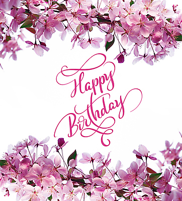 포토 JPG 해외이미지 꽃 분홍색 백그라운드 캘리그라피 사람없음 축하 생일 해외202004 해외포토 식물 기념일 컬러 컨셉 파일형식 이미지허브