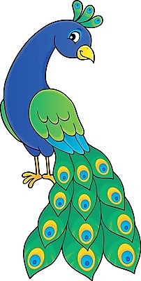 EPS 해외이미지 클립아트 동물 디자인 응시 행복 일러스트 자연 조류 미술 장식 컬러풀 그리기 공작 깃털 그림 꼬리 고립 동물상 스타일 해외202004 해외일러스트 시선 감정 컬러 모션 문화예술 조형물 생태계 파일형식 벡터 이미지허브