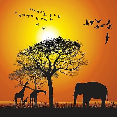 EPS 해외이미지 나무 동물 야생동물 일러스트 포유류 아프리카 자연 조류 코끼리 일몰 기린 사파리 거위 해외202004 해외일러스트 식물 나라 노을 생태계 파일형식 벡터 이미지허브