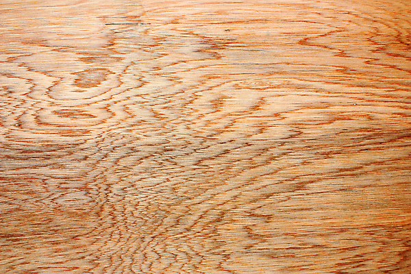 포토 JPG 해외이미지 나무 벽 백그라운드 패턴 탁자 표면 주택 건조 사람없음 내부 목재 장식 갈색 수확 소나무 판넬 거친 질감 날것 목공예 잡동사니 내추럴 거짓 구식 수목 합판 해외202004 해외포토 식물 컬러 가구 무늬 농업 재료 건물 공예 파일형식 이미지허브