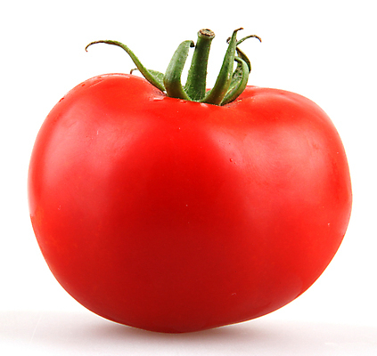 포토 JPG 해외이미지 나무 식물 백그라운드 토마토 종류 씨앗 사람없음 그래픽 사진촬영 성장 흰색 체리 질병 그림 레시피 고립 해외202004 해외포토 컬러 채소 과일 의학 촬영 파일형식 이미지허브