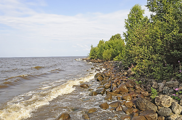 포토 JPG 해외이미지 나무 계절 호수 물결 파도 여행 자연 하늘 풍경 사람없음 야외 물 여름 강 갈색 젖음 상쾌 러시아 통나무 북쪽 수평선 해외202004 해외포토 자연요소 식물 감정 유럽 바다 컬러 방향 생태계 파일형식 이미지허브