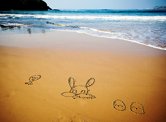 포토 JPG 해외이미지 계절 행복 모래 파도 바다 백그라운드 오렌지 태국 자연 하늘 휴가 부활절 기념 사람없음 장식 초록색 파란색 단어 바구니 우주 계란 보라색 봄 축하 편지 심볼 사인 해외202004 해외포토 문자 기념일 감정 아시아 컬러 컨셉 과일 알 생태계 파일형식 이미지허브