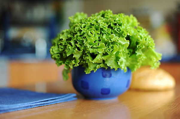 포토 JPG 해외이미지 음식 잎 채소 재료 탁자 건강 사람없음 초록색 파란색 식사 저녁식사 봄 샐러드 신선 사발 상추 유기농 칼로리 내추럴 점심식사 식용 채식주의자 해외202004 해외포토 식물 웰빙 계절 컬러 가구 사기그릇 채식 파일형식 이미지허브