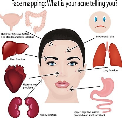 EPS 해외이미지 모양 여자 얼굴 신체 일러스트 건강 내부 치료 약 화장품 하트 오르간 신장 피부 사인 피부관리 간 방광 여드름 돌봄 염증 스타일 해외202004 해외일러스트 의학 모션 사람 신체부위 뷰티 장기_의학 건반악기 비뇨기관 질병 파일형식 벡터 이미지허브
