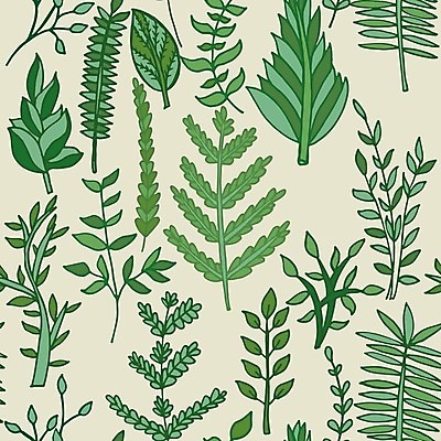 EPS 해외이미지 식물 손 디자인 음식 잎 패턴 일러스트 재료 미술 초록색 세트 흰색 나뭇가지 신선 스케치 수집 허브 향신료 그림 유기농 아로마 로즈메리 내추럴 고립 백리향 엘리먼트 해외202004 해외일러스트 나무 웰빙 컬러 무늬 문화예술 신체부위 향미료 파일형식 벡터 이미지허브