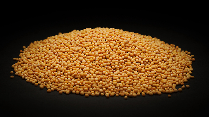 포토 JPG 해외이미지 사람없음 검은색 낟알 향신료 겨자씨 해외202004 해외포토 컬러 씨앗 향미료 파일형식 이미지허브