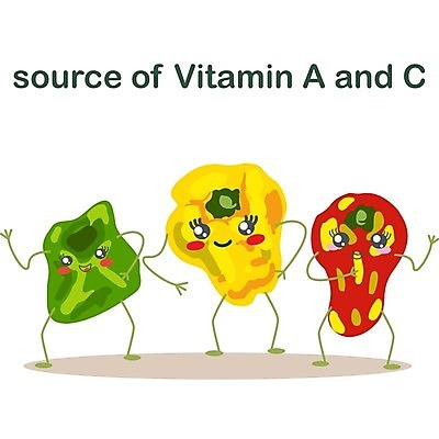 EPS 해외이미지 캐릭터 디자인 어린이 음식 다이어트 토마토 채소 과일 일러스트 자연 호박 가지 파프리카 건강 옥수수 요리 빨간색 초록색 세트 컬러풀 노란색 버섯 당근 흰색 아기 신선 달콤 혼합 브로콜리 만화 수집 심볼 유기농 심플 박 후추 내추럴 고립 채식주의자 총각무 해외202004 해외일러스트 일러캐릭터 웰빙 컬러 곡류 뿌리채소 사람 맛 무 향신료 생태계 채식 파일형식 벡터 이미지허브