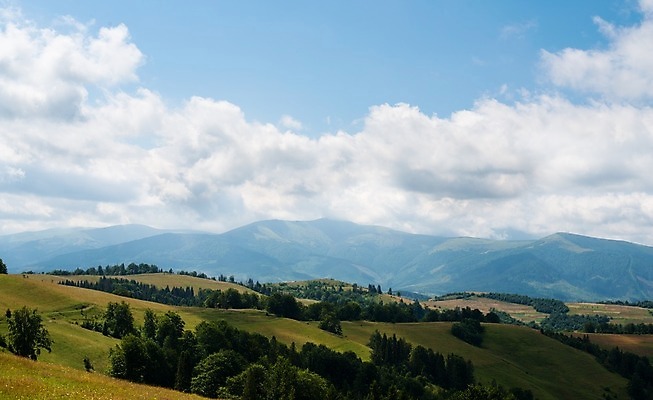 포토 JPG 해외이미지 나무 구름 실루엣 유럽 여행 밭 자연 하늘 산 풍경 경사 잔디 사람없음 야외 초록색 계곡 안개 시골 정상 숲 언덕 산등성이 장면 침엽수 동쪽 내추럴 산악지대 우크라이나 절정 수평선 해외202004 해외포토 자연요소 식물 나라 컬러 농업 날씨 촬영기법 방향 생태계 파일형식 이미지허브
