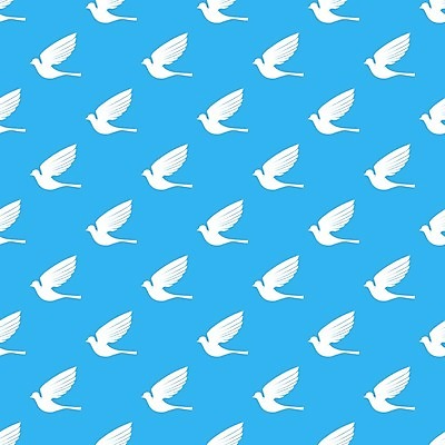 EPS 해외이미지 동물 디자인 야생동물 백그라운드 패턴 날개 일러스트 자연 조류 바람 추상 오리 앉기 야외 목재 파란색 평화 자유 둥지 숲 대표 수집 방향 심볼 비둘기 꼬리 부리 참새 부엉이 철사 새장 까마귀 내추럴 고립 벌새 선두 해외202004 해외일러스트 자연요소 나무 컬러 컨셉 무늬 재료 모션 날씨 생태계 케이지 파일형식 벡터 식물 반려용품 오브젝트 이미지허브