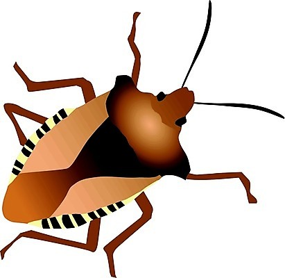 EPS 해외이미지 동물 곤충 백그라운드 일러스트 흰색 침대 벌레 숲 묘사 오브젝트 싱글 고립 진실 해외202004 해외일러스트 컬러 가구 파일형식 벡터 이미지허브