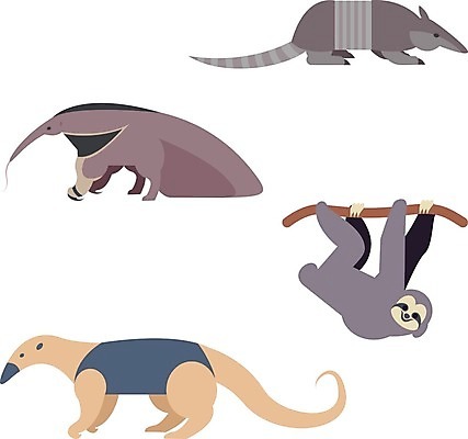 EPS 해외이미지 동물 여러마리 일러스트 사람없음 원숭이 개미핥기 아르마딜로 해외202004 해외일러스트 다수 포유류 파일형식 벡터 이미지허브