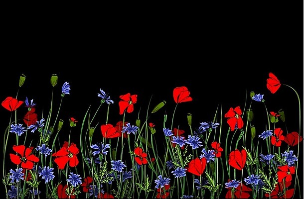 EPS 해외이미지 식물 템플릿 디자인 계절 꽃 분홍색 백그라운드 잎 꽃무늬 밭 일러스트 자연 풍경 장식 가로 빨간색 초록색 여름 파란색 세트 컬러풀 농장 유행 정원 검은색 봄 벚꽃 흰색 개화 플랫 수집 허브 양귀비 조립 고립 수레국화 캐모마일 스타일 해외202004 해외일러스트 컬러 무늬 농업 생태계 파일형식 벡터 이미지허브