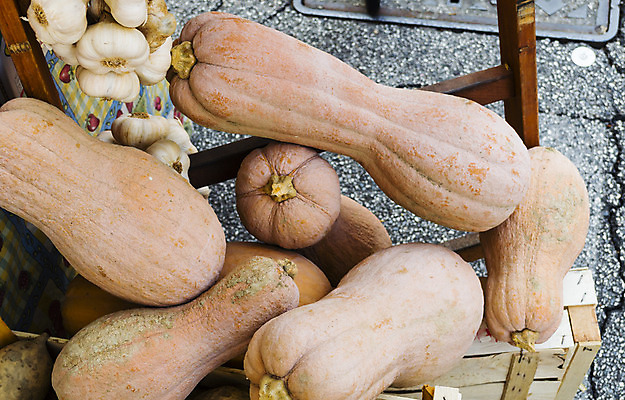 포토 JPG 해외이미지 계절 음식 밭 농업 다이어트 채소 오렌지 비즈니스 호박 사람없음 목재 장식 초록색 컬러풀 농장 정원 축제 할로윈 수확 가을 신선 시장 먹기 유기농 추수감사절 식용 해외202004 해외포토 나무 웰빙 산업 기독교 컬러 과일 재료 모션 건강 파일형식 이미지허브