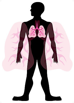 EPS 해외이미지 클립아트 디자인 남자 실루엣 분홍색 과학 신체 일러스트 부분 해부 건강 사람 약 검은색 흰색 오르간 허파 호흡기관 호흡 만화 생물학 윤곽 몸통 고립 궤 돌봄 바이탈 엘리먼트 해외202004 해외일러스트 교육 컬러 의학 모션 촬영기법 신체부위 장기_의학 건반악기 파일형식 벡터 이미지허브