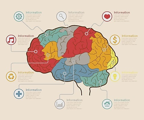 EPS 해외이미지 템플릿 디자인 배너 지도 인터넷 일러스트 비즈니스 통계 성공 그래프 추상 사람 타이포그라피 그래픽 세트 지구본 자료 재활용 인포그래픽 정보 수확 성장 바 인쇄 수집 심볼 사인 속도 뇌 보고서 레이아웃 문서 복고 페이지 네비게이션 해결 그런지 특별함 경제학 해외202004 해외일러스트 문자 교육 컨셉 무늬 농업 경제 친환경 파일형식 벡터 이미지허브