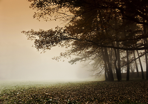 포토 JPG 해외이미지 나무 식물 구름 계절 전통문화 잎 밭 농업 오렌지 자연 하늘 옥수수 풍경 사람없음 야외 빨간색 초록색 빛 햇빛 태양 농장 갈색 노란색 일출 보라색 추위 안개 가을 농촌 심플 평야 해외202004 해외포토 자연요소 전통 산업 문화 컬러 과일 날씨 곡류 노을 시골 생태계 파일형식 이미지허브