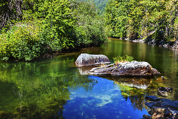 포토 JPG 해외이미지 나무 계절 호수 잎 패턴 자연 풍경 사람없음 야외 목재 초록색 물 여름 파란색 강 컬러풀 반사 가을 나뭇가지 시골 개울 숲 장면 암초 10월 내추럴 워싱턴 해외202004 해외포토 자연요소 식물 컬러 무늬 재료 미국 날짜 생태계 파일형식 이미지허브