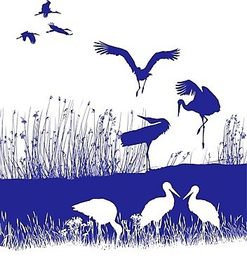 EPS 해외이미지 식물 꽃 백그라운드 일러스트 자연 조류 오리 갈대 미술 고립 동물상 황새 해외202004 해외일러스트 동물 문화예술 조형물 생태계 파일형식 벡터 이미지허브