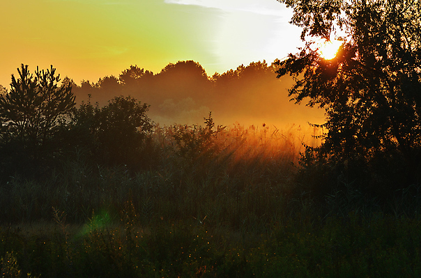 포토 JPG 해외이미지 나무 구름 여행 백그라운드 밭 자연 하늘 아침 조명 풍경 사람없음 여름 파란색 빛 햇빛 태양 노란색 일출 화목 황혼 일몰 봄 새벽 가을 소나무 황금 저녁 숲 깃털 스텝 몽환 수평선 해외202004 해외포토 주간 자연요소 식물 계절 컬러 컨셉 농업 노을 야간 생태계 파일형식 이미지허브