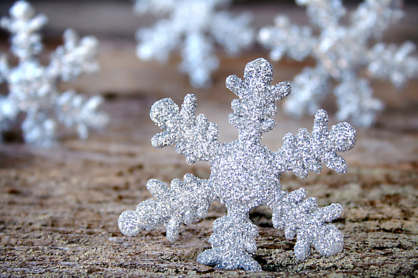 포토 JPG 해외이미지 백그라운드 크리스마스 휴가 사람없음 목재 냉동 얼음 추위 시골 은색 질감 옛날 해외202004 해외포토 자연요소 나무 기념일 컬러 재료 파일형식 이미지허브