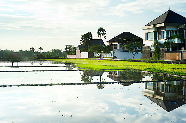 포토 JPG 해외이미지 나무 식물 전통 디자인 외관 아시아 문화 여행 밭 건축양식 자연 하늘 밥 휴가 주택 손바닥 사람없음 야외 초록색 물 반사 정원 일몰 흰색 시골 재산 고급 빌라 맨션 시골집 휴양지 발리 인도네시아 빛망울 렌탈 진짜 해외202004 해외포토 자연요소 손 건축 나라 음식 컬러 섬 컨셉 농업 건물 금융 빛 노을 장소 생태계 파일형식 이미지허브
