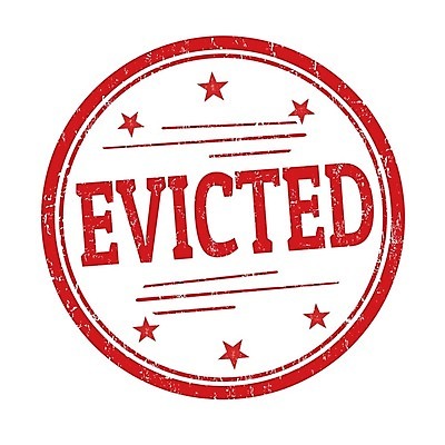 EPS 해외이미지 디자인 배너 스티커 일러스트 텍스트 잉크 그래픽 빨간색 꼬리표 라벨 수확 메시지 인쇄 물개 심볼 흔적 사인 배지 스크래치 공지사항 질서 고무 우표 그런지 옛날 각인 해외202004 해외일러스트 컬러 농업 포유류 프레임 바다동물 예절 파일형식 벡터 이미지허브