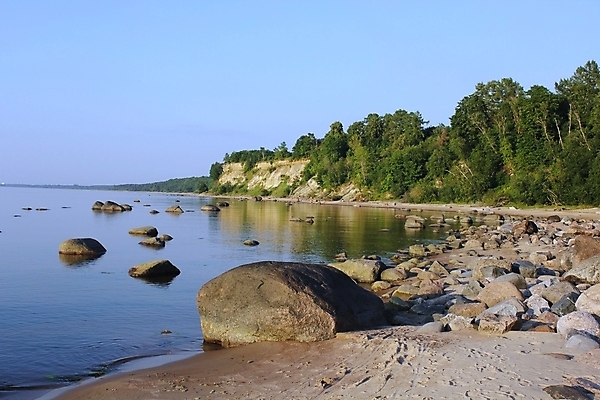 포토 JPG 해외이미지 여행 휴식 건강 사람없음 목재 소나무 해외202004 해외포토 나무 컨셉 재료 파일형식 이미지허브