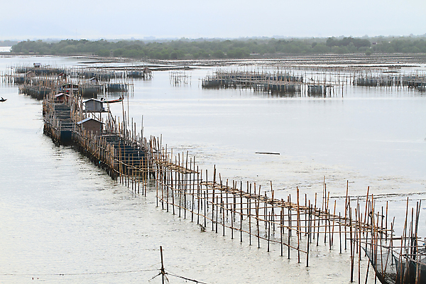 포토 JPG 해외이미지 호수 농업 태국 주택 어류 풍경 사람없음 물 농장 놀이방 업무 그물 땅 대나무 밭일 수경재배 해외202004 해외포토 자연요소 나무 산업 아시아 건물 수중동물 작업 파일형식 이미지허브