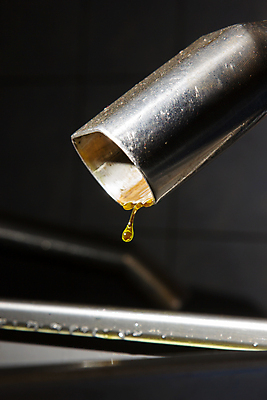 포토 JPG 해외이미지 산업 음식 농업 공장 자연 건강 사람없음 초록색 노란색 기계 신선 액체 붓기 맛 올리브 탱크 그리스인 방법 해외202004 해외포토 서양인 열매 컬러 컨셉 공업 모션 생태계 파일형식 이미지허브