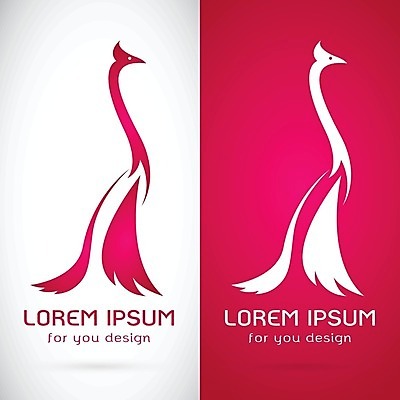 EPS 해외이미지 디자인 배너 실루엣 분홍색 백그라운드 패턴 일러스트 자연 조류 추상 미술 사람없음 그래픽 장식 컬러풀 유행 라벨 수확 소용돌이 흰색 축하 인사 신용카드 우아함 공작 문신 심볼 깃털 그림 질감 복고 꼬리 고립 엘리먼트 이국적 스타일 해외202004 해외일러스트 동물 컬러 컨셉 무늬 농업 문화예술 프레임 촬영기법 금융 회오리 예절 생태계 파일형식 벡터 이미지허브