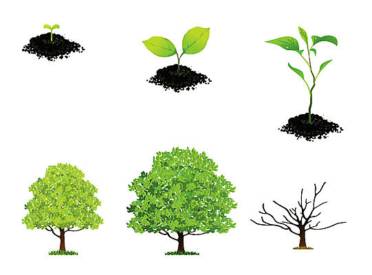 EPS 해외이미지 나무 식물 스포츠 백그라운드 올림픽 컨셉 잎 밭 일러스트 공 자연 탁자 새로움 농구 씨앗 사람 초록색 세트 픽토그램 숫자 새싹 정원 검은색 축구 봄 테니스 성장 게임 신선 배구 심볼 원예 돌봄 모종 해외202004 해외일러스트 문자 계절 컬러 가구 농업 모션 놀이 취미 구기 생태계 파일형식 벡터 이미지허브