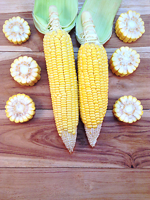 포토 JPG 해외이미지 단면 실내 옥수수 사람없음 두개 옥수수껍질 나무배경 해외202004 해외포토 백그라운드 2 곡류 내부 껍질 파일형식 이미지허브