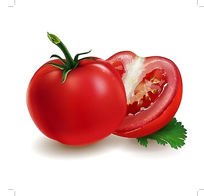 EPS 해외이미지 토마토 과일 일러스트 빨간색 해외202004 해외일러스트 컬러 채소 파일형식 벡터 이미지허브
