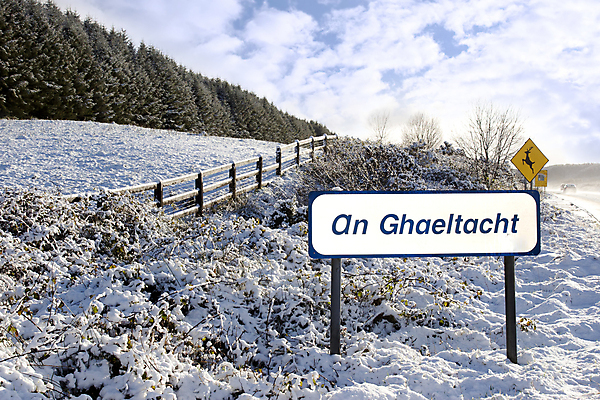 포토 JPG 해외이미지 나무 계절 공원 유럽 도로 여행 크리스마스 겨울 밭 자동차 자연 하늘 날씨 사슴 거리 경고 풍경 사람없음 야외 목재 파란색 울타리 태양 노란색 평화 맑음 냉동 얼음 추위 흰색 시골 숲 사인 서리 장면 아일랜드 폭설 눈내림 해외202004 해외포토 자연요소 식물 공공시설 기념일 나라 길 육상교통 컬러 컨셉 농업 재료 포유류 교통시설 눈_날씨 담장 자연재해 생태계 파일형식 이미지허브