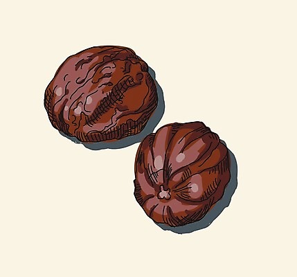 EPS 해외이미지 전통 계절 문화 음식 조각 백그라운드 다이어트 과일 일러스트 재료 자연 건조 요리 씨앗 동양인 갈색 주방 견과류 흰색 닫기 맛 인도인 먹기 허브 향수 향신료 흰배경 유기농 매움 향기 아로마 향료 향 레시피 동쪽 내추럴 고립 채식주의자 해외202004 해외일러스트 외국인 식물 웰빙 컬러 컨셉 모션 건강 인종 화장품 방향 생태계 채식 냄새 향미료 파일형식 벡터 이미지허브