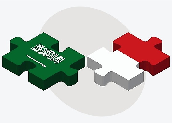EPS 해외이미지 조각 컨셉 일러스트 관계 아프리카 협력 함께함 사람 그래픽 3D 깃발 퍼즐 연결 결합 접속 오브젝트 흰배경 아라비아 나눔 해결 사우디아라비아 고립 모나코 아랍어 왕국 전국 정부 정치 통일 해외202004 해외일러스트 유럽 나라 중동 흰색 디지털합성 파일형식 벡터 컬러 이미지허브