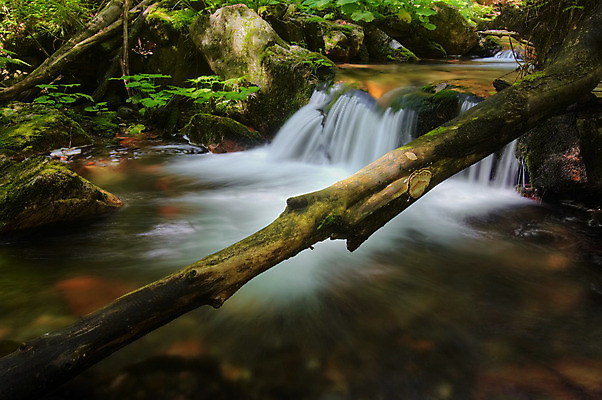 포토 JPG 해외이미지 공원 이동 모션 자연 풍경 사람없음 야외 물 강 폭포 흐름 가을 개울 체코 예약 내추럴 해외202004 해외포토 자연요소 계절 공공시설 유럽 컨셉 생태계 파일형식 이미지허브