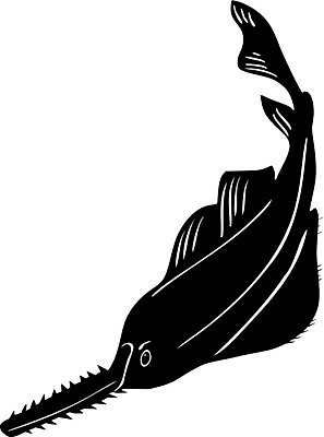 EPS 해외이미지 디자인 실루엣 야생동물 음식 스포츠 바다 일러스트 자연 낚시 건강 어류 물 강 검은색 해산물 사인 민물 해외202004 해외일러스트 자연요소 동물 컬러 레저 촬영기법 수중동물 생태계 파일형식 벡터 이미지허브