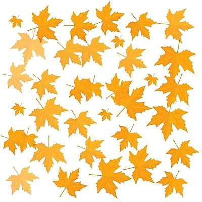 EPS 해외이미지 식물 디자인 계절 백그라운드 단풍 잎 오렌지 일러스트 모션 자연 추상 건조 미술 야외 그래픽 세트 컬러풀 갈색 노란색 환경 가을 흰색 그룹 황금 숲 9월 생물학 내추럴 고립 엘리먼트 해외202004 해외일러스트 교육 컬러 무늬 과일 문화예술 날짜 생태계 파일형식 벡터 이미지허브