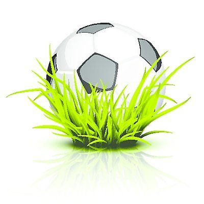 EPS 해외이미지 스포츠 일러스트 축구공 공 놀이 취미 컵 초록색 세계 반사 축구 게임 흰색 원형 오브젝트 광택 해외202004 해외일러스트 도형 식기 컬러 축구용품 구기 파일형식 벡터 이미지허브