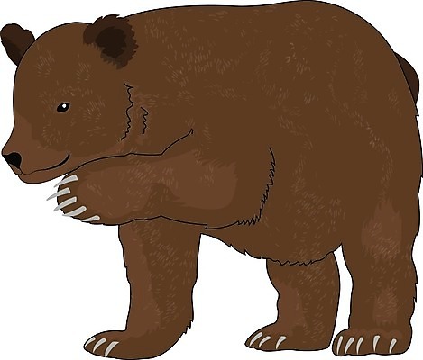 EPS 해외이미지 동물 야생동물 일러스트 곰 포유류 자연 털 미술 갈색 흰색 못 큼 모피 그림 날카로움 육식동물 고립 동물상 집게발 해외202004 해외일러스트 컬러 문화예술 조형물 공구 크기 생태계 파일형식 벡터 도구 이미지허브
