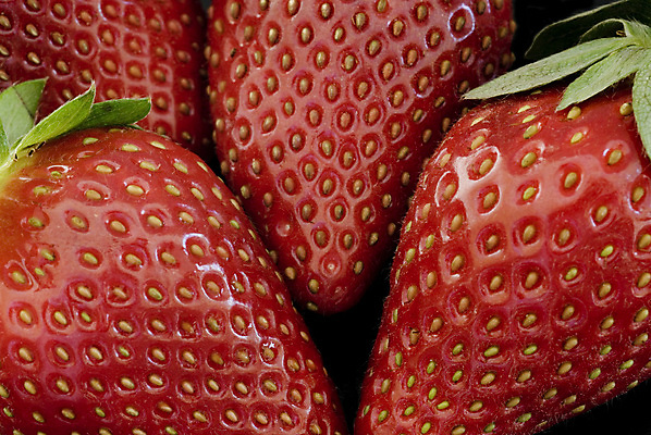 포토 JPG 해외이미지 과일 딸기 디저트 씨앗 사람없음 빨간색 신선 달콤 유기농 날것 내추럴 바이오 숙성 해외202004 해외포토 식물 웰빙 음식 컬러 맛 파일형식 이미지허브