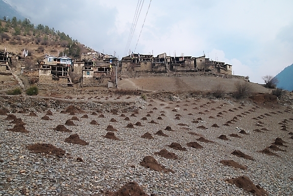 포토 JPG 해외이미지 나무 구름 아시아 도로 여행 밭 건축양식 자연 하늘 호텔 아침 산 주택 풍경 사람없음 건물 초록색 파란색 강 마을 환경 골짜기 계곡 얼음 중국 트래킹 하이킹 사막 추위 가을 시골 사찰 네팔 북쪽 히말라야 해외202004 해외포토 주간 자연요소 식물 건축물 계절 건축 나라 길 컬러 농업 종교건축 교통시설 숙소 레저 방향 생태계 파일형식 산맥 이미지허브