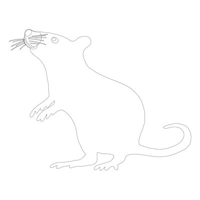 EPS 해외이미지 클립아트 동물 구름 전통 배너 꽃 실루엣 아시아 종이 패턴 일러스트 텍스트 휴가 이벤트 타이포그라피 장식 빨간색 세트 파티 일본 축제 중국 수확 축하 황금 플랫 쥐 인쇄 심볼 꼬리 윤곽 손그림 해피뉴이어 고립 엘리먼트 해외202004 해외일러스트 자연요소 식물 문자 나라 컬러 컨셉 무늬 농업 촬영기법 새해인사 설치류 파일형식 벡터 이미지허브