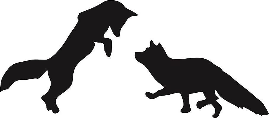 EPS 해외이미지 동물 캐릭터 디자인 야생동물 일러스트 포유류 자연 동물원 황무지 만화 그림 생물학 여우 고립 해외202004 해외일러스트 일러캐릭터 교육 생태계 파일형식 벡터 이미지허브