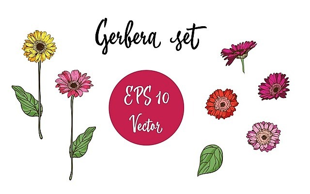 EPS 해외이미지 식물 꽃 분홍색 백그라운드 잎 꽃무늬 오렌지 일러스트 벽지 수채화 국화 발렌타인데이 장식 빨간색 초록색 세트 노란색 정원 보라색 봄 수확 가을 흰색 나뭇가지 인사 붓 황금 인쇄 수집 그림 데이지 초대 거베라 금잔화 캐모마일 포장소품 해외202004 해외일러스트 나무 계절 컬러 무늬 농업 과일 포장 데이이벤트 예절 허브 오브젝트 포장재료 파일형식 벡터 이미지허브