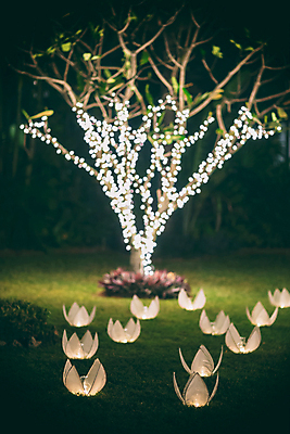 포토 JPG 해외이미지 나무 디자인 행복 결혼 백그라운드 패턴 자연 추상 휴가 연꽃 텐트 미술 이벤트 사람없음 야외 장식 초록색 여름 빛 노란색 파티 정원 축제 저녁식사 어둠 흰색 램프 축하 우아함 야간 보케 블러 접수 해외202004 해외포토 자연요소 식물 계절 꽃 감정 컬러 컨셉 무늬 문화예술 조명 캠핑도구 식사 생태계 파일형식 이미지허브